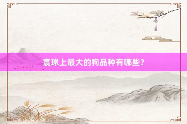 寰球上最大的狗品种有哪些？