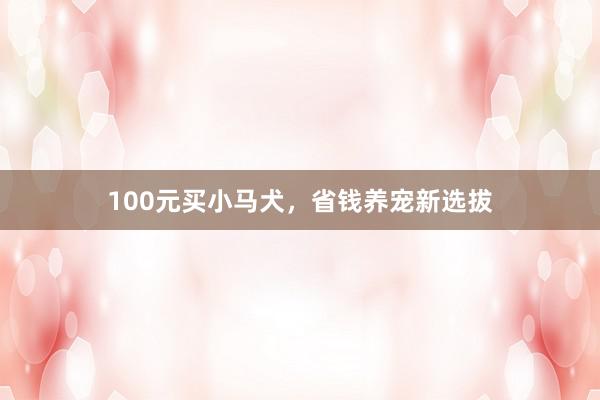 100元买小马犬,省钱养宠新选拔
